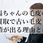 福ちゃんの毛皮の買取で古い毛皮も価値が出る理由とは？